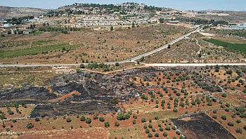 הרצוג על הסנקציות נגד התנחלויות: "התערבות בוטה בבחירות"