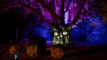 קיץ על רמה -  פותחים את החופש ברמת הגולן 