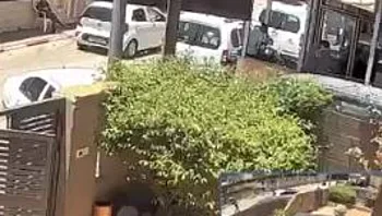 פיגוע בשומרון תועד: ירי לעבר חנות ורכב, אין נפגעים