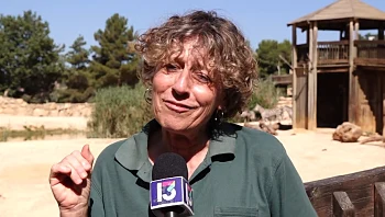 שאלות/תשובות עם נילי אבן מגן