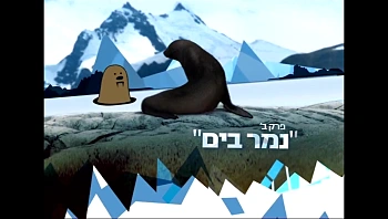 מסע לאנטרטיקה - נמר בים