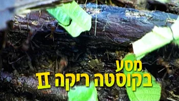 מעיין הנעורים - מסע בקוסטה ריקה 2