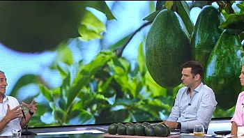 ירוק בעיניים: חוגגים את יום האבוקדו הבינלאומי