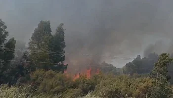 לאחר 7 שעות: הושגה שליטה בשריפות, כביש 87 נפתח לתנועה