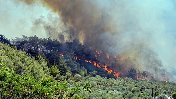 עכשיו זה רשמי: חודש יולי היה החם ביותר בהיסטוריה
