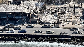 93 נספו בהוואי, בשריפה הקשה ביותר זה מאה שנה: "סרט אימה"