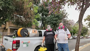 איך הפכה חברת קסם הדברות למובילה בתחום בישראל?