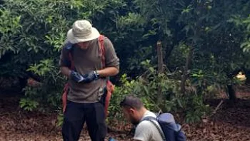 בעקבות מות כלבה: חשד להרעלת ענק של חיות בר בצפון