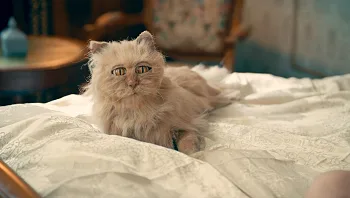 כראמל, עונה 2, פרק 9 - הדוד של רובי