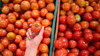 רק תוצרת ישראל: כך תגלו אם מה שקניתם בסופר מיובא או מקומי