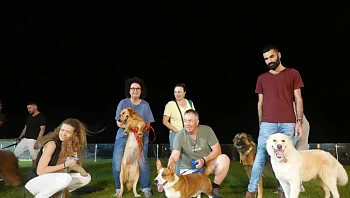 "ניידת ליטוף נמרץ": הכלבים שעוזרים לילדי העוטף בהתמודדות