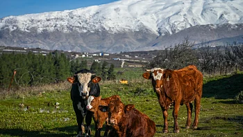 התחזית: עלייה בטמפרטורות, מזג אוויר נאה ונוח