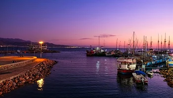 עוסקים בהוראה? תתכוננו להתאהב ולהרוויח!