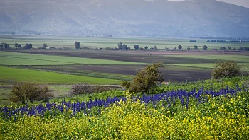 התחזית לשבת: מזג אוויר נוח, בהמשך השבוע ייתכן גשם מקומי