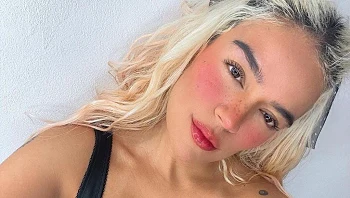 הטייס ראה עשן בתאו - המטוס הפרטי של הזמרת ביצע נחיתת חירום