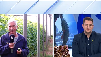 הפרויקט המיוחד של לקט ישראל לתמיכה בתוצרת הארץ