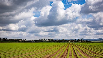 התחזית: עלייה קלה בטמפרטורות, בהמשך השבוע - שרבי