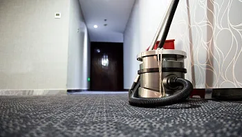 מקצוענים 2000 - חברת ניקוי שטיחים מובילה ומקצועית