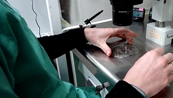 הסיכום היומי: היום ה-164 למלחמה