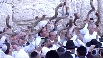 הסיכום היומי: היום ה-167 למלחמה