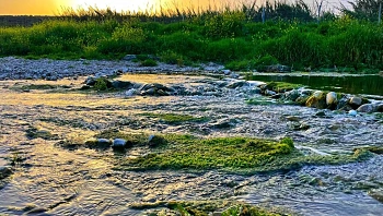 מה עושים בשבת עם הילדים: מבלים ומטיילים בפסטיבל מקסים בטבע