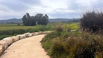 טיולים לכולם: 4 מסלולי טיול נגישים - במיוחד לחגי תשרי