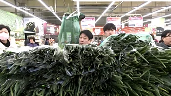 הבחירות בקוריאה הדרומית: מצביעים לא יורשו להיכנס לקלפיות עם בצל ירוק