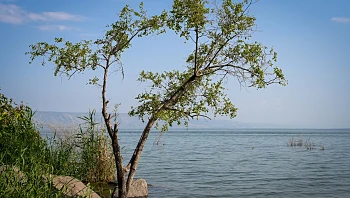 התחזית: נוח יחסית לעונה, לקראת התחממות