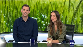 איך לנטרל את הדחף לסוכרים ופחמימות ממכרות?