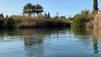 עוד סוף שבוע שרבי לפנינו: המלצות על 4 מעיינות קרירים