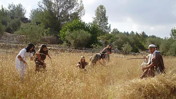 חג שבועות תעשה לך: 5 אירועי שבועות מצפון ועד דרום