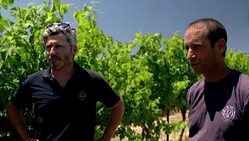 "שכחו אותנו": התושבים שנותרו בצפון - ונלחמים על מפעל חייהם