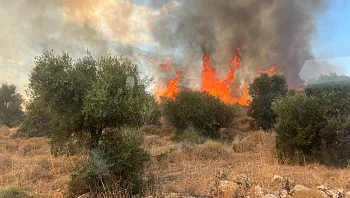 אייטם בדיקה 2512