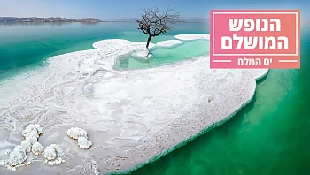 הנופש המושלם, פרק 1, ים המלח