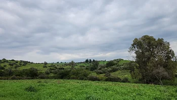 התחזית לשבת: מזג אוויר קריר ונוח, לקראת התקררות בהמשך