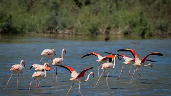 התחזית: מזג אוויר שמשי ונוח ברוב אזורי הארץ