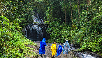 בקרוב יחזרו הטיסות הישירות ליעד האהוב על הישראלים