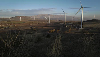 פעילי ימין פרצו את הגבול לסוריה; 3 הרוגים בתקיפת צה"ל בלבנון