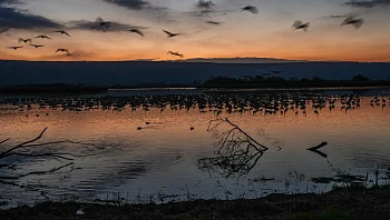 התחזית: ירידה בטמפרטורות, לקראת התחממות בסוף השבוע