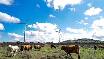 התחזית: ירידה ניכרת בטמפרטורות, ייתכן גשם מקומי קל