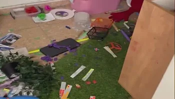"הילדים בוכים, חלק קיבלו מכות והם פשוט מתנערים מאחריות"