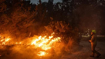 שריפת הענק בהרי י-ם: מ"מ ראש אגף המבצעים בכבאות שהה בחו"ל