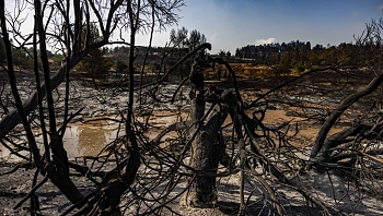 נתניהו: "ישנם 18 חשודים בהצתה"; במשטרה טוענים: "נעצרו 3"