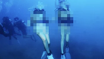 צוללנים צילמו סרטון מיני על שונית האלמוגים והגולשים זעמו