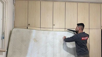 לרגל עונת ההדברות, חברת ההדברה המומלצת ביותר בישראל