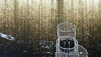 הולנד מצטרפת: גובר הלחץ על הדחת ישראל מהאירווזיון בווינה