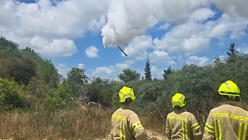 שריפה בחיפה: 8 מטוסים הוזנקו, המשטרה החלה בפינוי תושבים