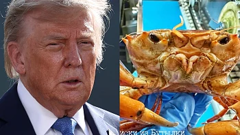 יתקוף באיראן? נמצא סרטן כתום שנראה ממש כמו הנשיא טראמפ