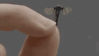 סין מציגה רחפן זעיר דמוי יתוש שמסוגל לאסוף מידע מבלי להתגלות