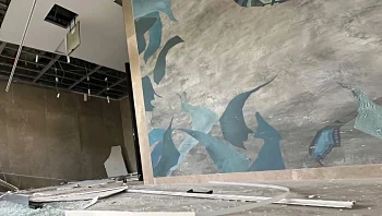 רימון הושלך לבניין מגורים בת"א, חייל כמעט נהרג בביתו